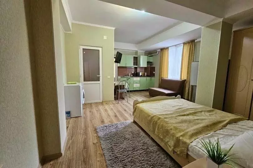 1-к кв. Краснодарский край, Сочи ул. Ленина, 42А (35.0 м) - Фото 1