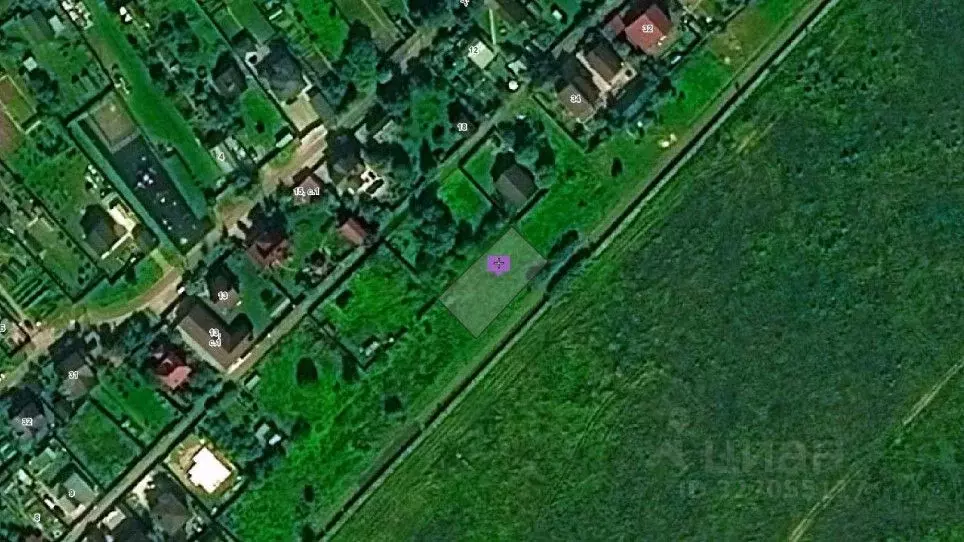 Участок в Москва д. Терехово, ул. Терехово-2, 73 (7.97 сот.) - Фото 2