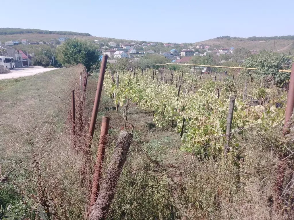 Участок в Краснодарский край, Анапа муниципальный округ, с. Гай-Кодзор ... - Фото 1