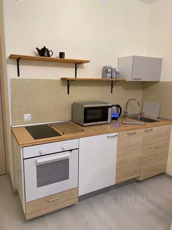 Студия Санкт-Петербург ул. Верхне-Каменская, 11к1 (25.0 м) - Фото 2