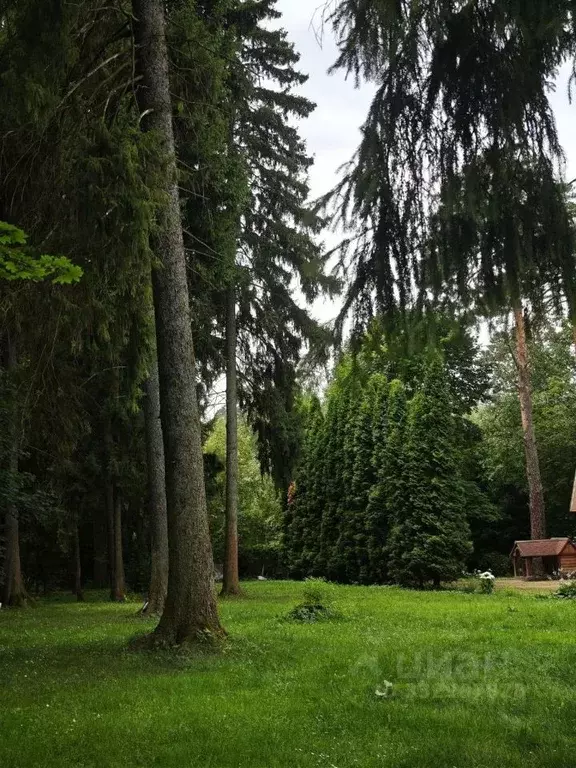 Коттедж в Московская область, Голицыно Одинцовский городской округ, ... - Фото 2