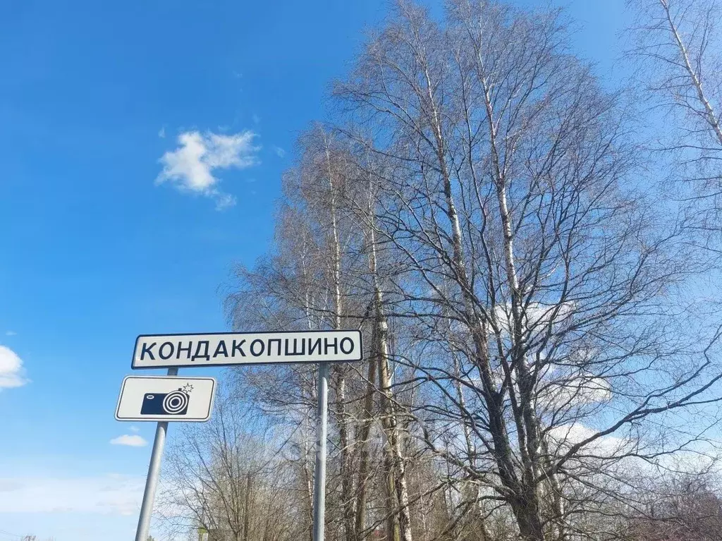 Участок в Санкт-Петербург, Санкт-Петербург, Пушкин Кондакопшино тер., ... - Фото 0