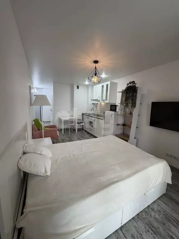 Студия Новосибирская область, Новосибирск ул. Ясный Берег, 10 (26.5 м) - Фото 2