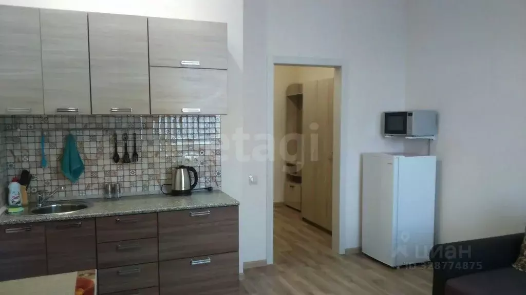 Студия Новосибирская область, Новосибирск ул. Сакко и Ванцетти, 77 ... - Фото 2