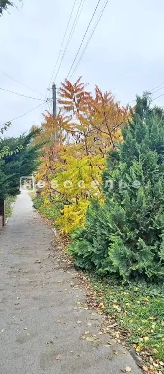 Дом в Рязанская область, Рязань ул. Коняева, 90 (59 м) - Фото 1