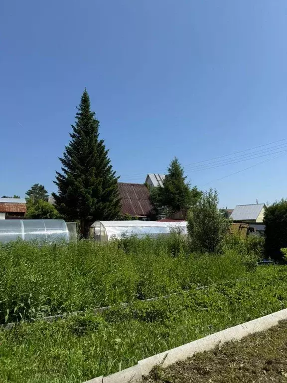Дача, 60 м - Фото 0