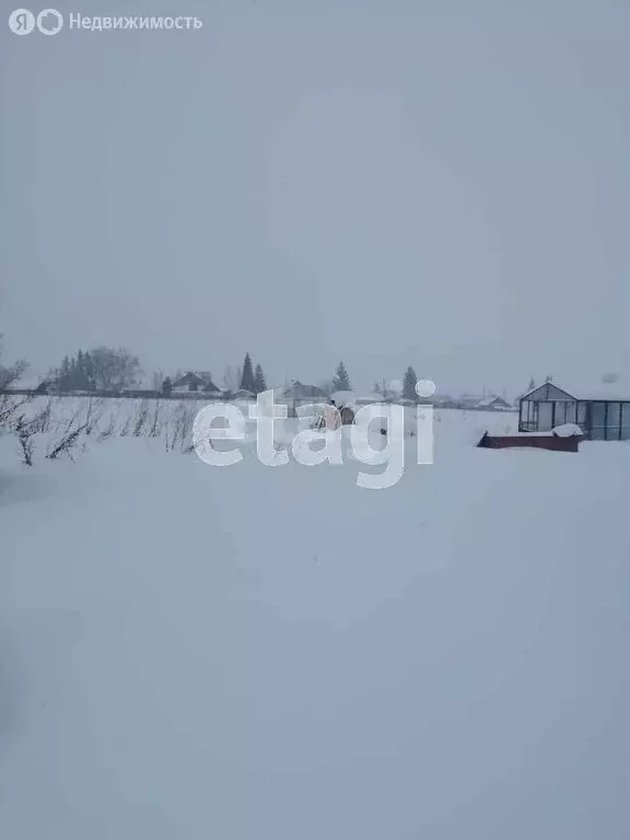 Участок в Искитимский район, Мичуринский сельсовет, деревня Бердь ... - Фото 1