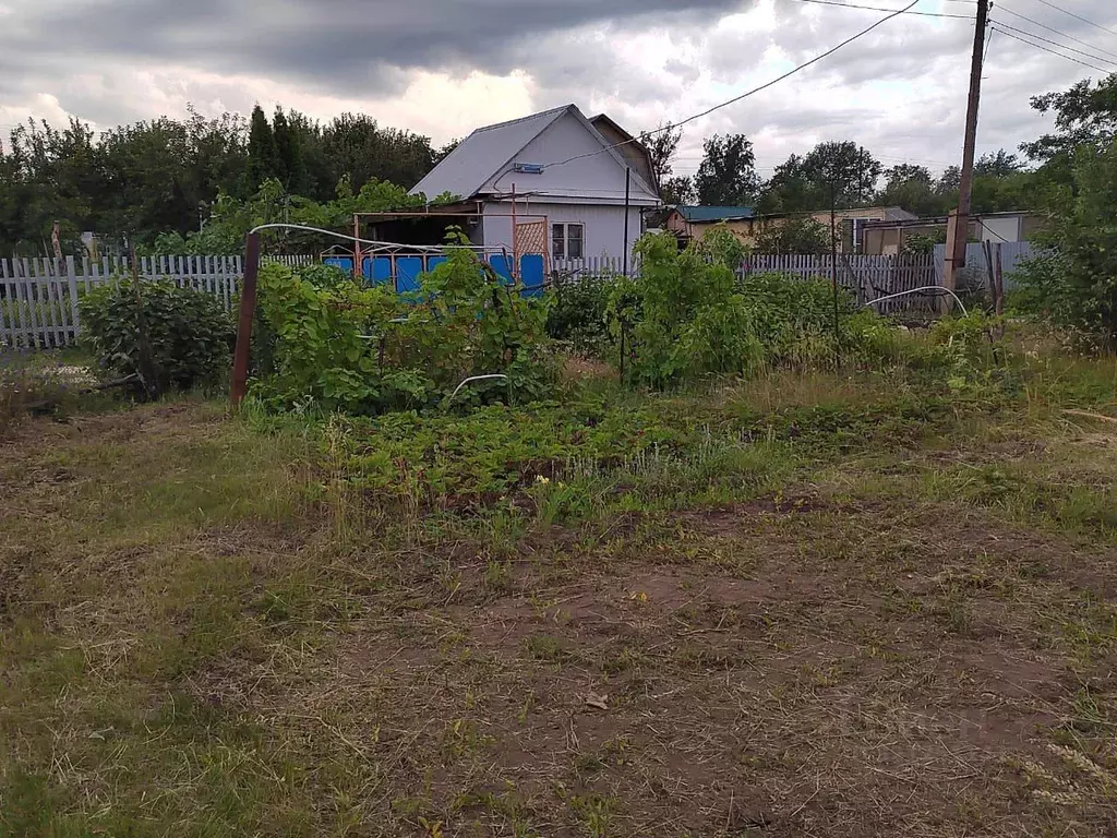 Участок в Саратовская область, Балаковский район, Натальинское ... - Фото 0