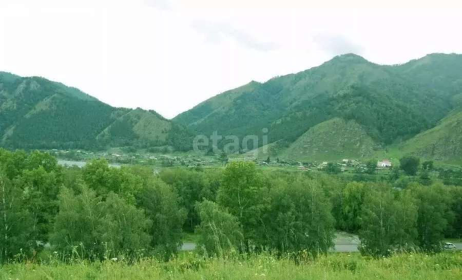 Участок в Чемальский район, село Чемал (14.7 м) - Фото 0