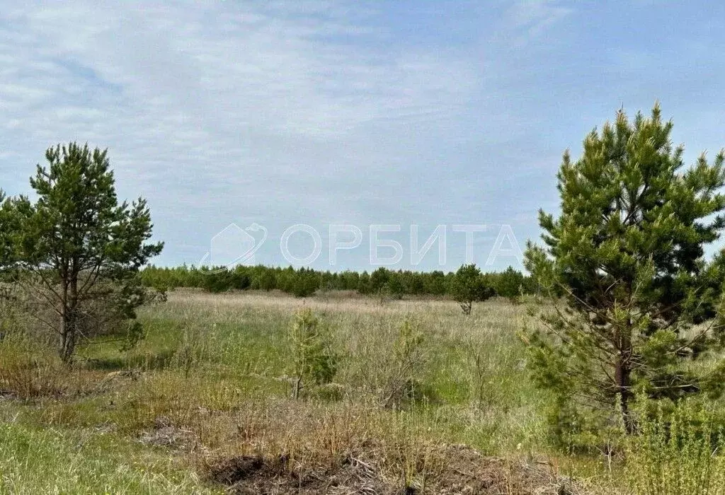 Участок в Тюменская область, Тюменский район, д. Елань  (8.58 сот.) - Фото 0