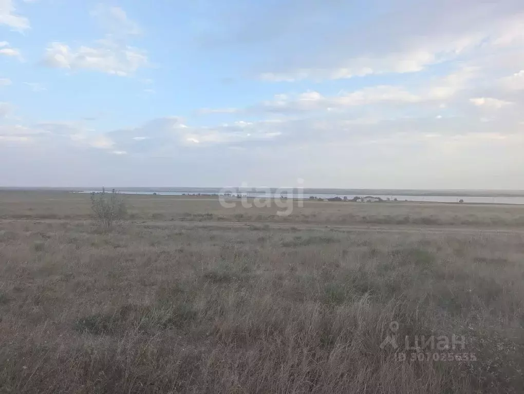 Участок в Крым, Черноморский район, с. Межводное ул. Мустафы Селимова ... - Фото 1