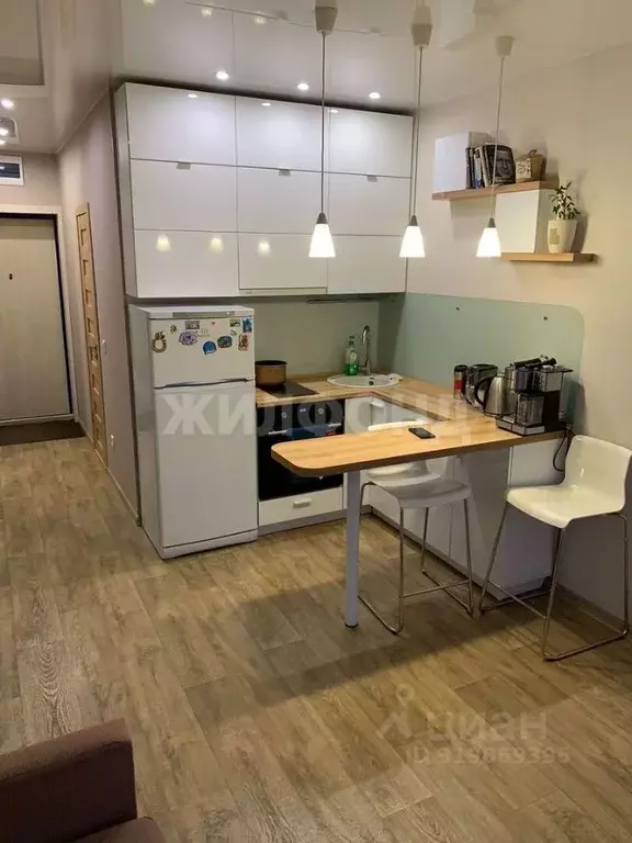 Студия Новосибирская область, Новосибирск ул. Костычева, 36 (24.0 м) - Фото 1