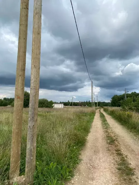 Участок в Ленинградская область, Гатчинский район, д. Ляды  (300.1 ... - Фото 1