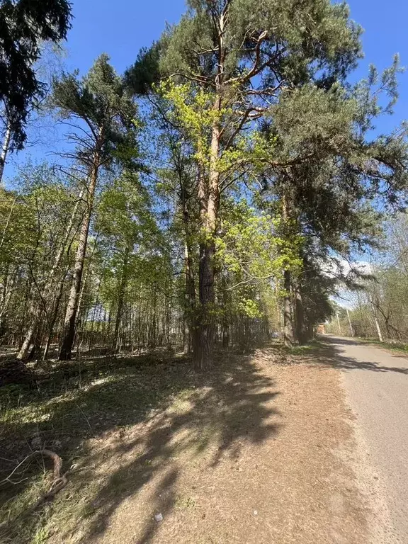 Участок в Московская область, Пушкинский городской округ, с. Тарасовка ... - Фото 2
