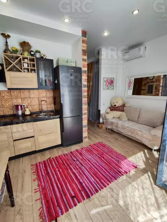 Студия Краснодарский край, Сочи ул. Яна Фабрициуса, 12/18 (20.8 м) - Фото 2