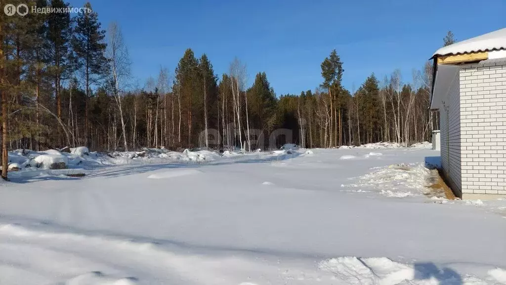 Участок в Нижнетавдинский район, село Тюнево (6 м) - Фото 0