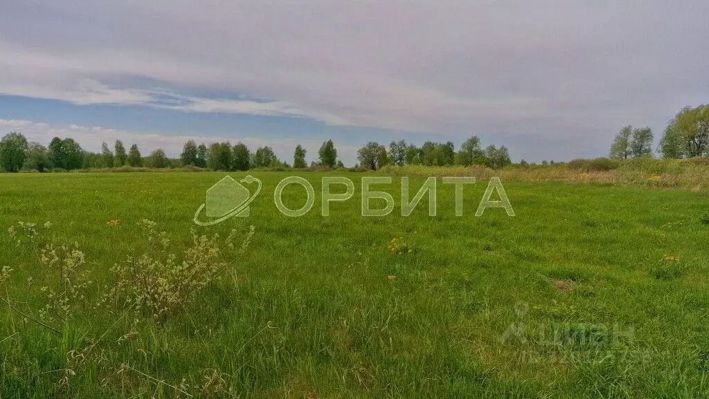 Участок в Тюменская область, Тюменский район, д. Есаулова ул. Гайдара, ... - Фото 1