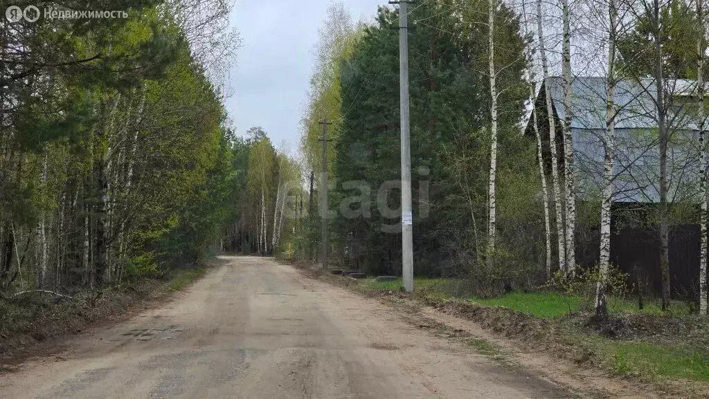 Участок в Кундышское сельское поселение, СНП Лесная Сказка, 15-й ... - Фото 1