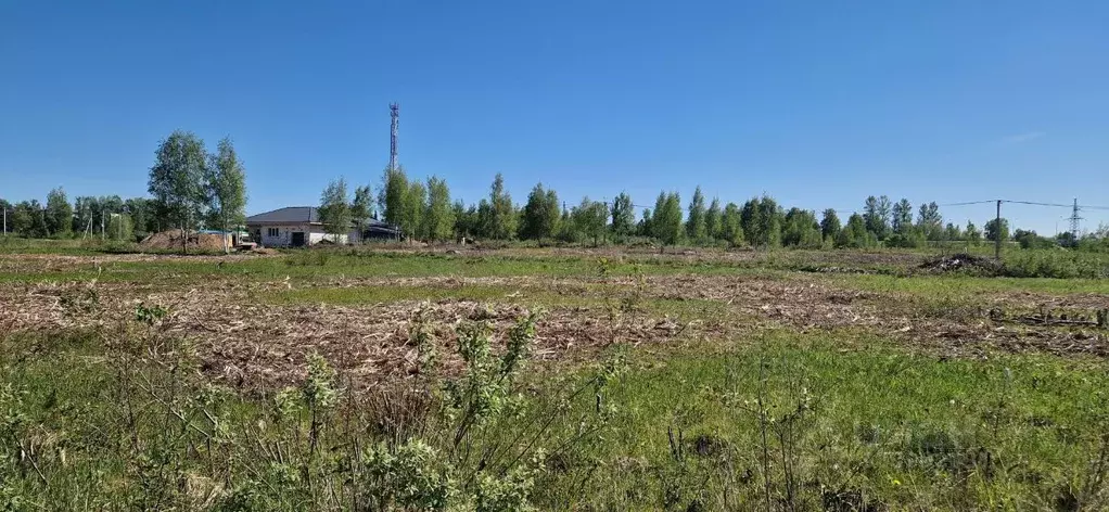 Участок в Тверская область, Конаковский муниципальный округ, ... - Фото 1