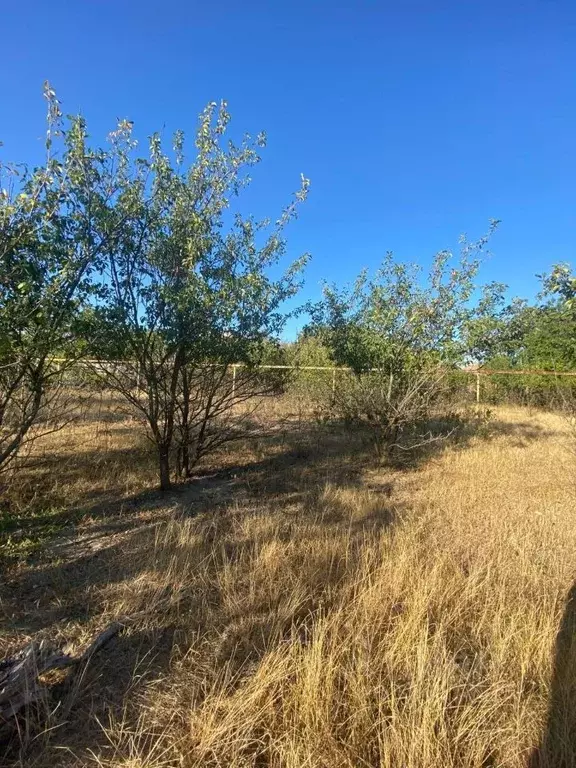 Дом в Ростовская область, Неклиновский район, с. Покровское ул. ... - Фото 1