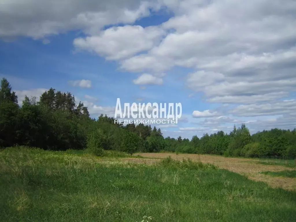 Участок в Ленинградская область, Приозерский район, Ларионовское ... - Фото 0