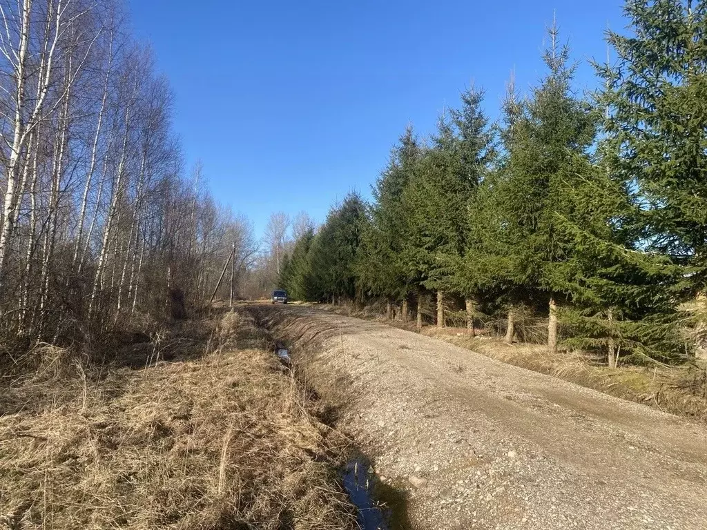 Участок в Псковская область, Пушкиногорье городское поселение, д. ... - Фото 2
