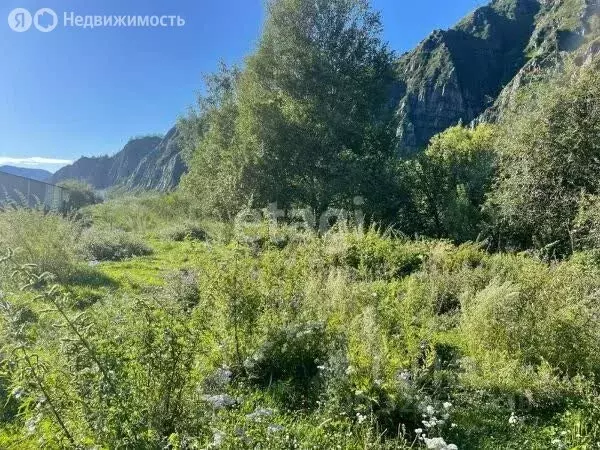 Участок в Усть-Канский район, село Ябоган (6742 м) - Фото 1