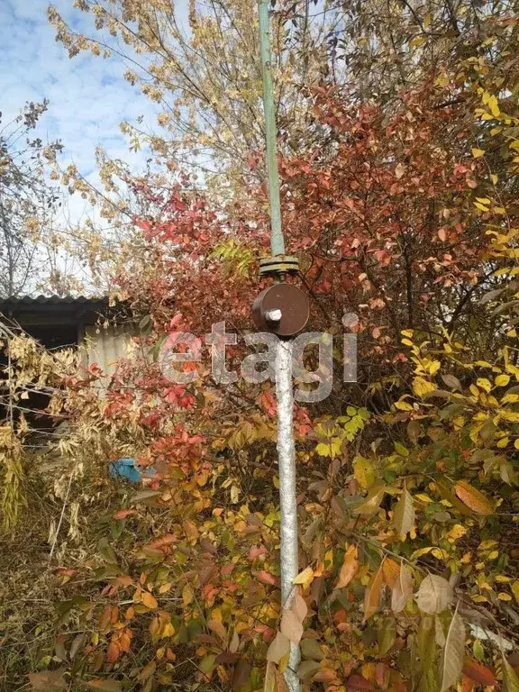 Дом в Белгородская область, Вейделевка рп  (37 м) - Фото 1