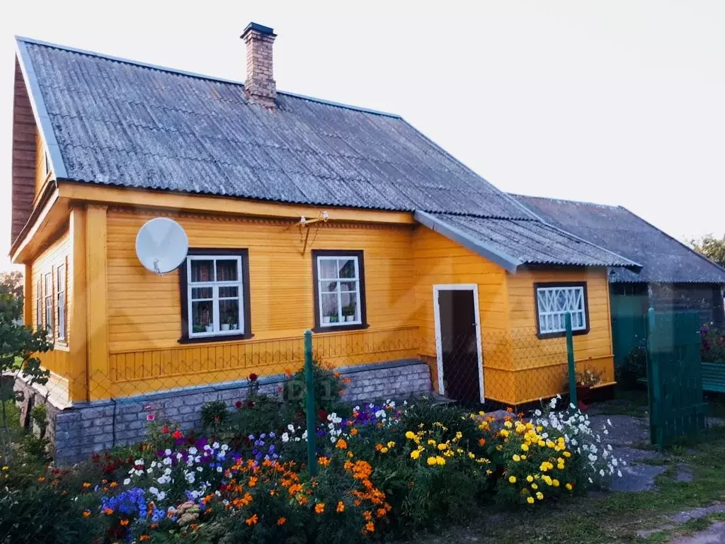 Купить Дом В Псковской Области Село Чихачево