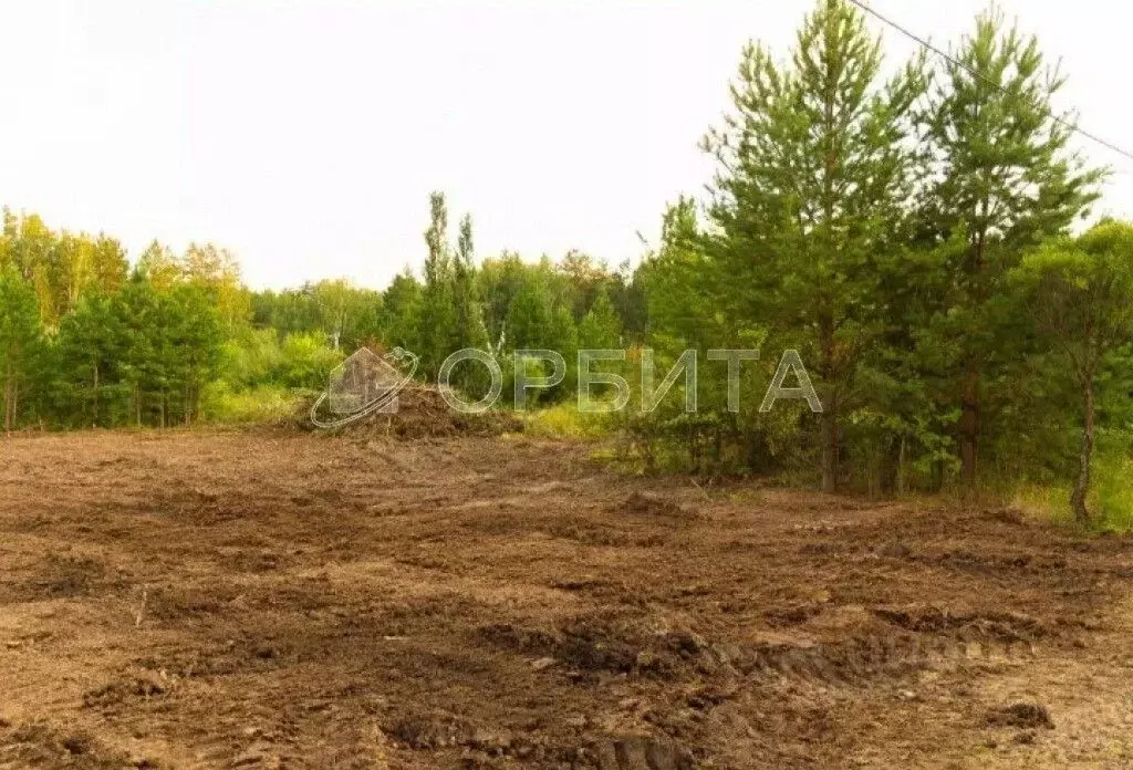 Участок в Тюменская область, Тюменский район, д. Ушакова Зеленая ул. ... - Фото 1