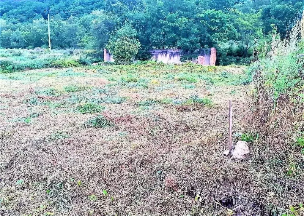 Участок в Приморский край, Шкотовский муниципальный округ, Шкотово пгт ... - Фото 1