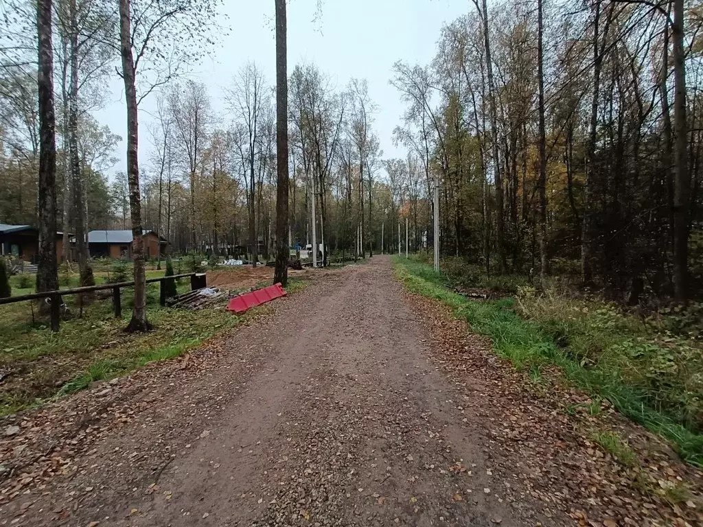 Участок в Московская область, Мытищи городской округ, д. Вешки ул. ... - Фото 1