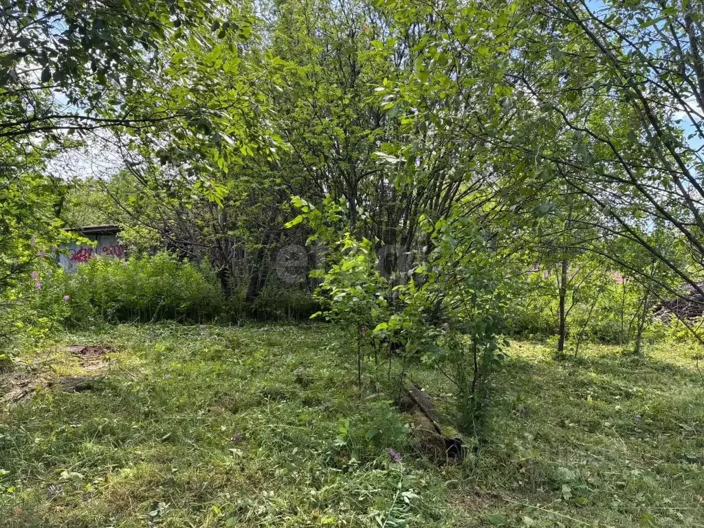 Участок в Свердловская область, Нижний Тагил муниципальный округ, пос. ... - Фото 1