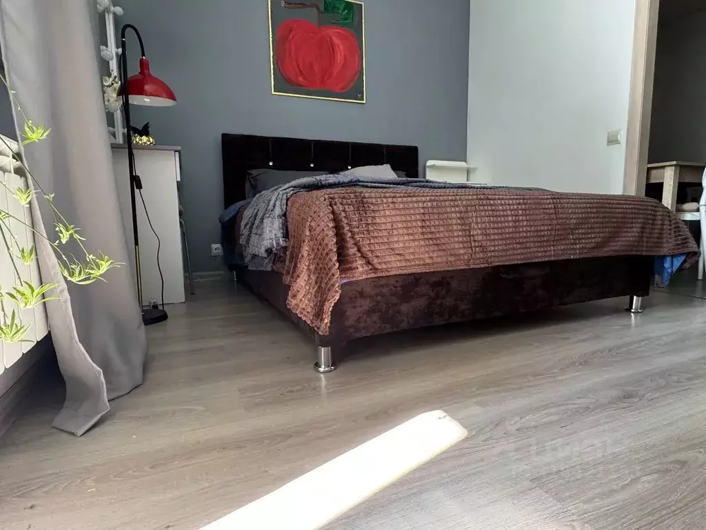 Студия Московская область, Ногинск Богородский городской округ, ул. ... - Фото 2