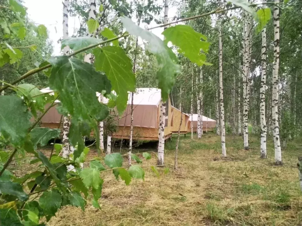 Дом в Костромская область, Мантурово  (20 м) - Фото 2