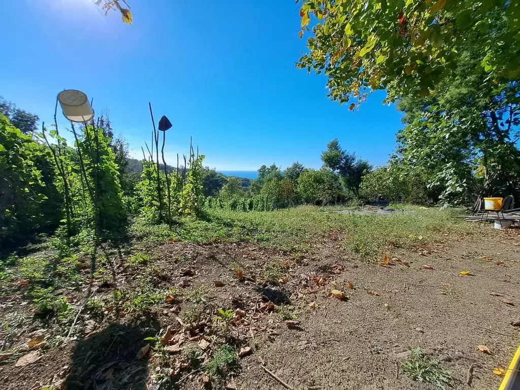 Участок в Краснодарский край, Сочи пос. Лоо, ул. Таллинская (20.0 ... - Фото 1