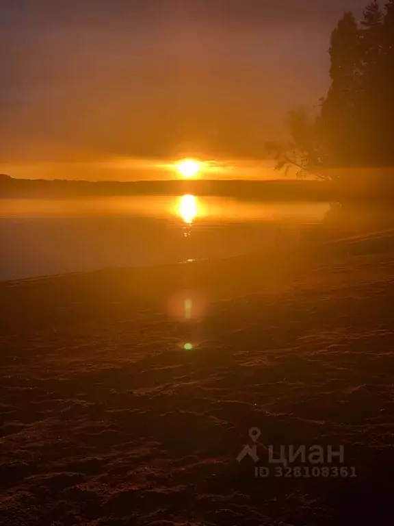 Участок в Ленинградская область, Приозерский район, Плодовское с/пос  ... - Фото 2