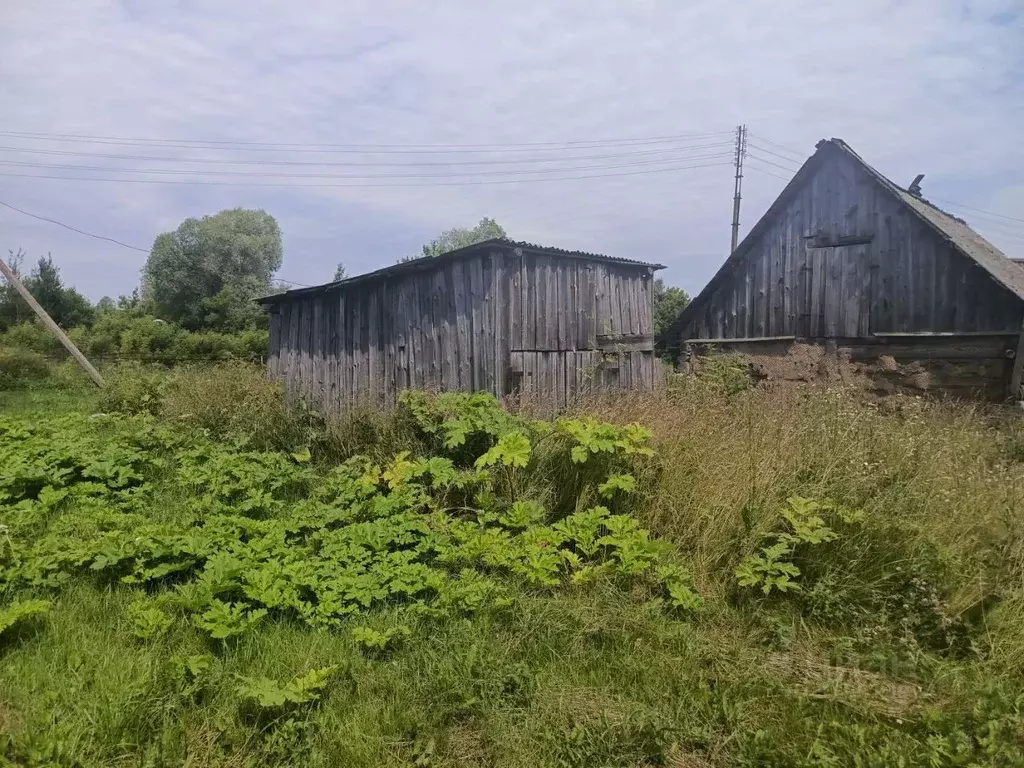 3-к кв. Калужская область, Козельский район, Каменка с/пос, д. Каменка ... - Фото 2
