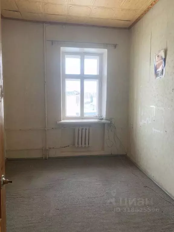 Помещение свободного назначения в Вологодская область, Кадуй рп ул. ... - Фото 1