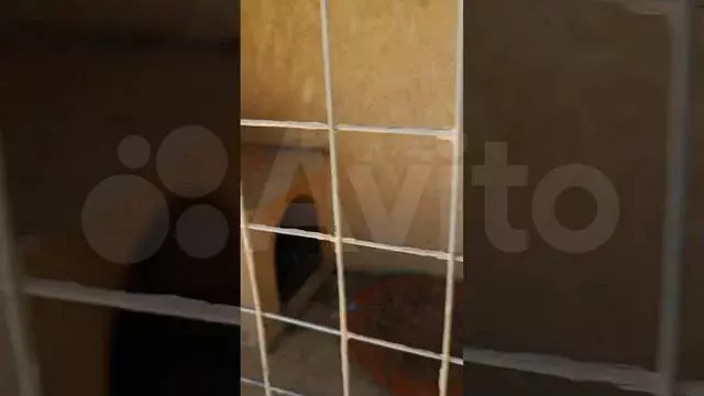 Дом 20 м на участке 16 сот. - Фото 1