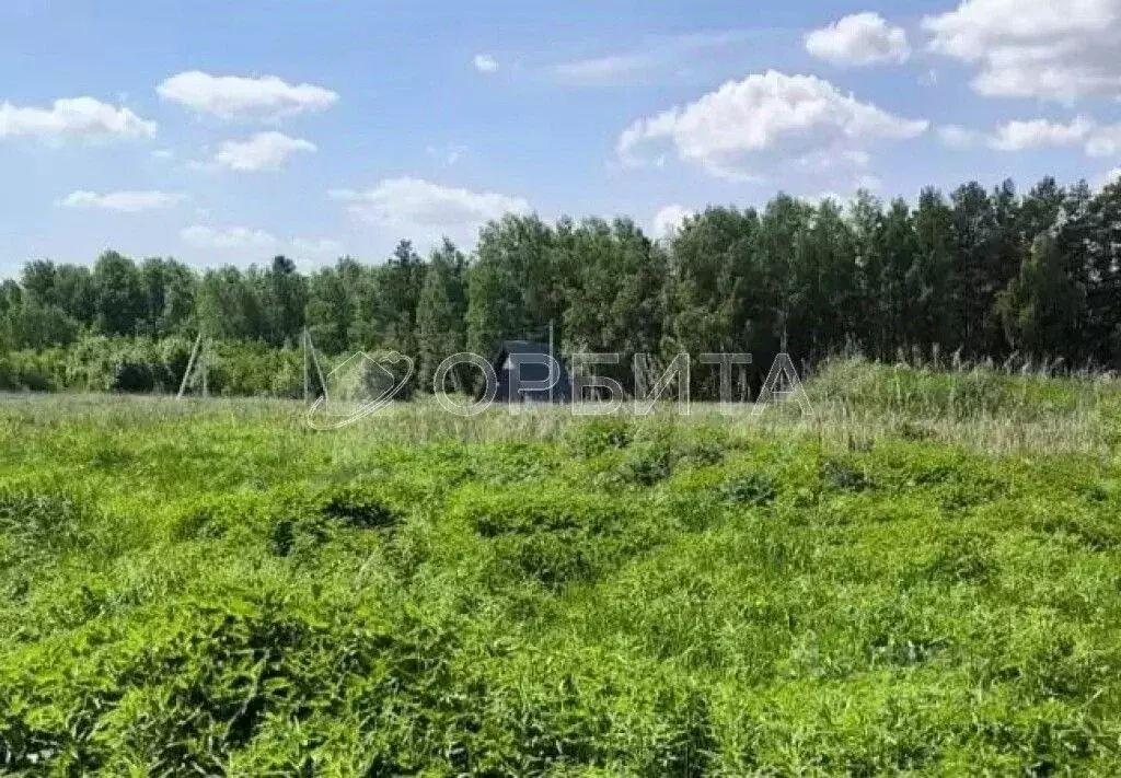 Участок в Тюменская область, Тюменский муниципальный округ, с. Каменка ... - Фото 1