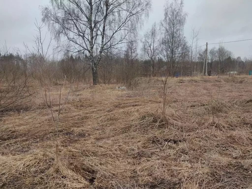 Участок в Московская область, Клин городской округ, Решетниково пгт  ... - Фото 0