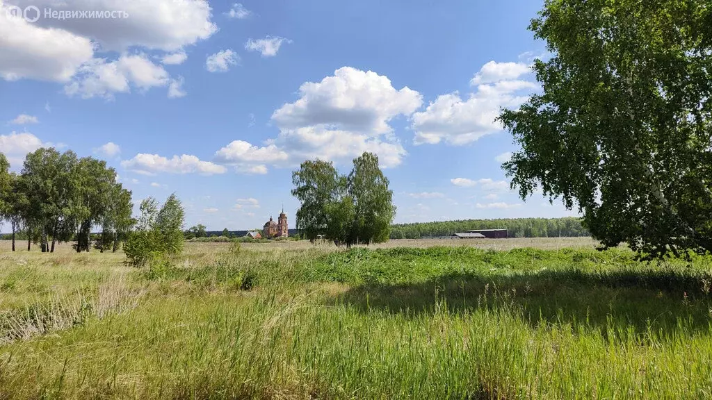 Участок в Свердловская область, Каменский муниципальный округ, село ... - Фото 1