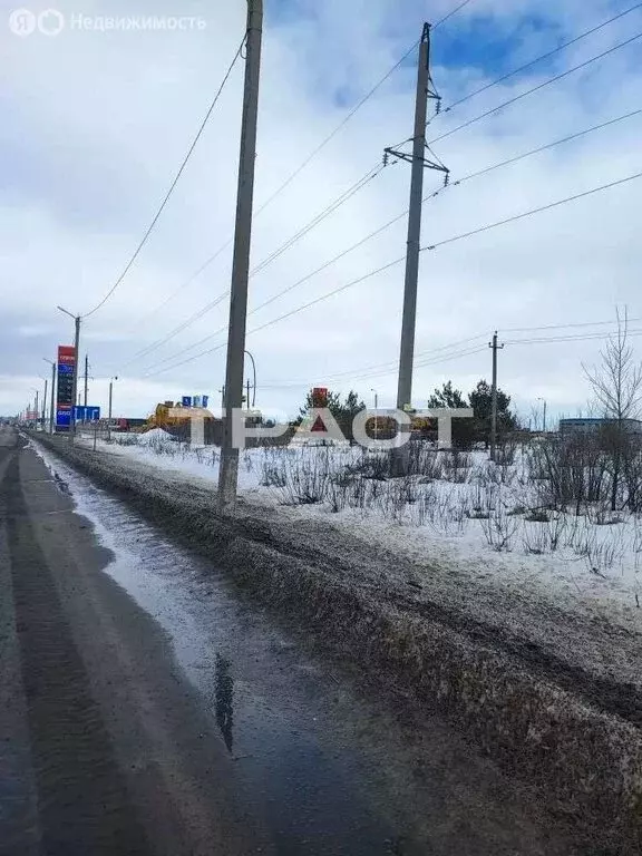 Участок в Рамонский район, Айдаровское сельское поселение, село ... - Фото 1