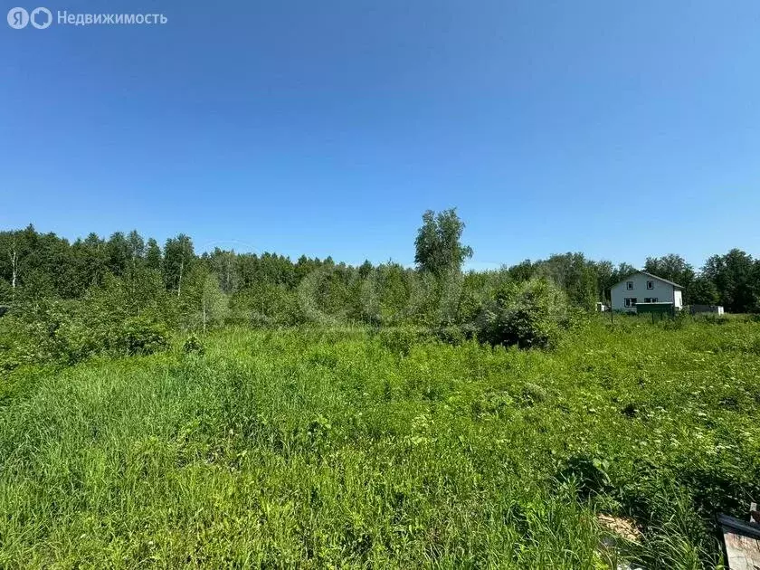 Участок в Тюменский район, село Каменка (10 м) - Фото 1