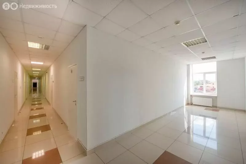 Офис (48.5 м) - Фото 0