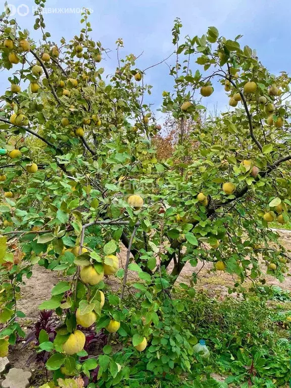 Дом в Азовский район, Самарское сельское поселение, садовое ... - Фото 2