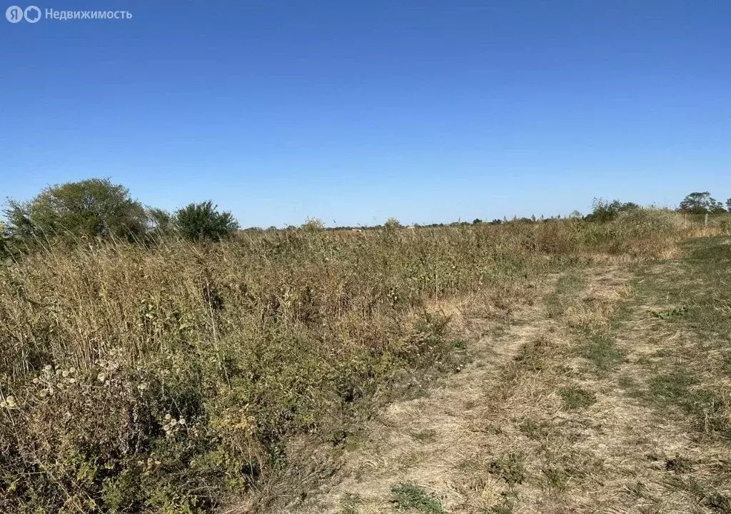 Участок в Родионово-Несветайский район, Кутейниковское сельское ... - Фото 0