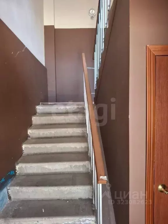 Помещение свободного назначения в Ставропольский край, Ставрополь ул. ... - Фото 1