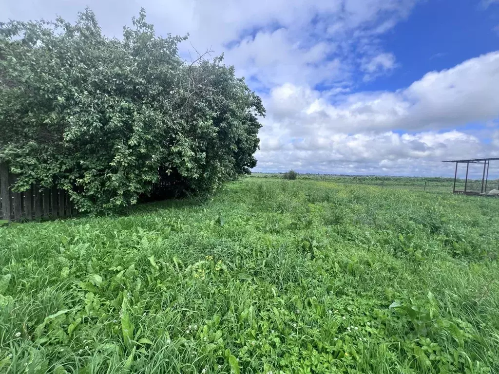 Участок в Ленинградская область, Гатчинский муниципальный округ, д. ... - Фото 1